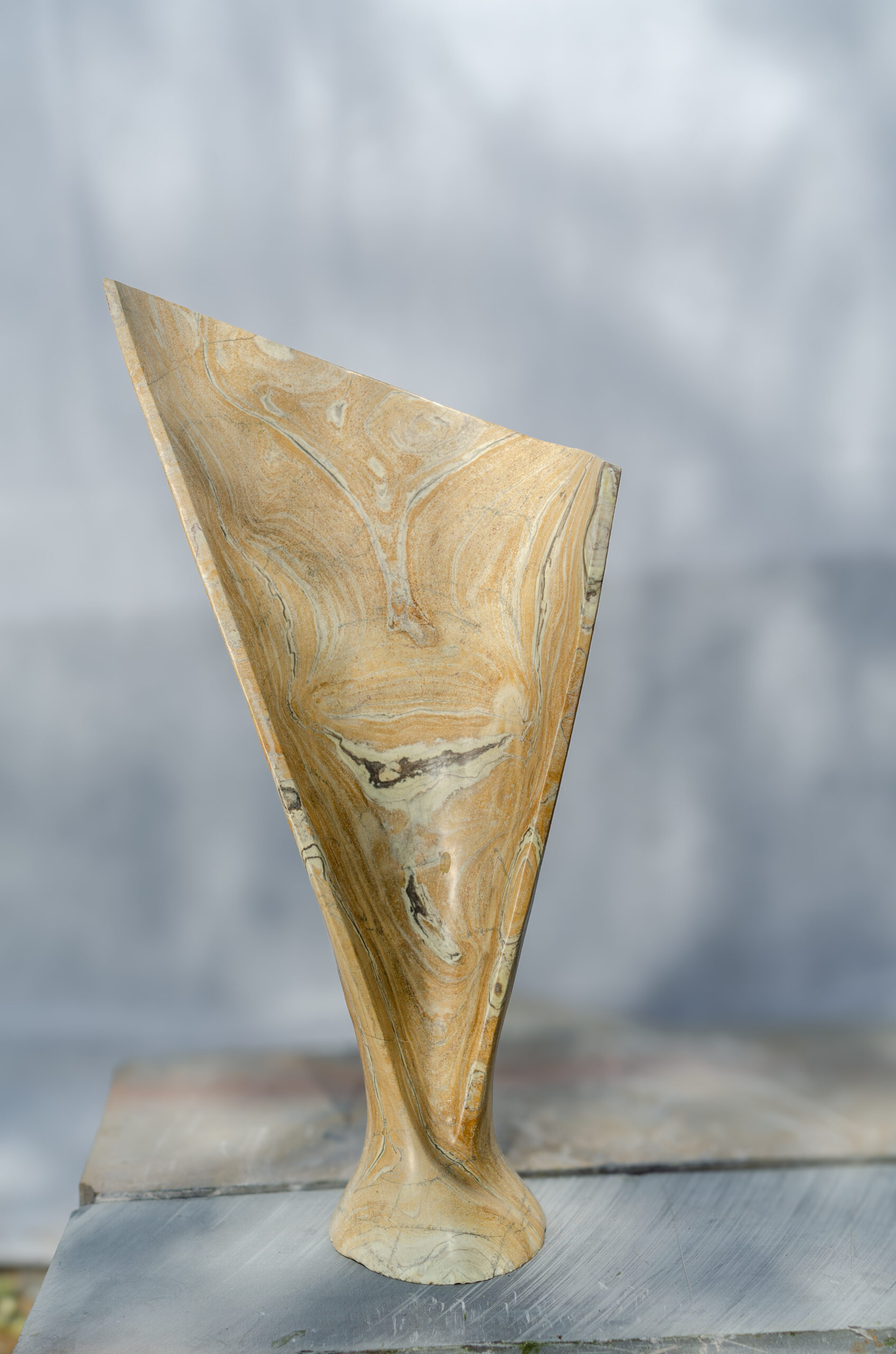 1734107312518-scaled-1.jpg Shield - Image 1