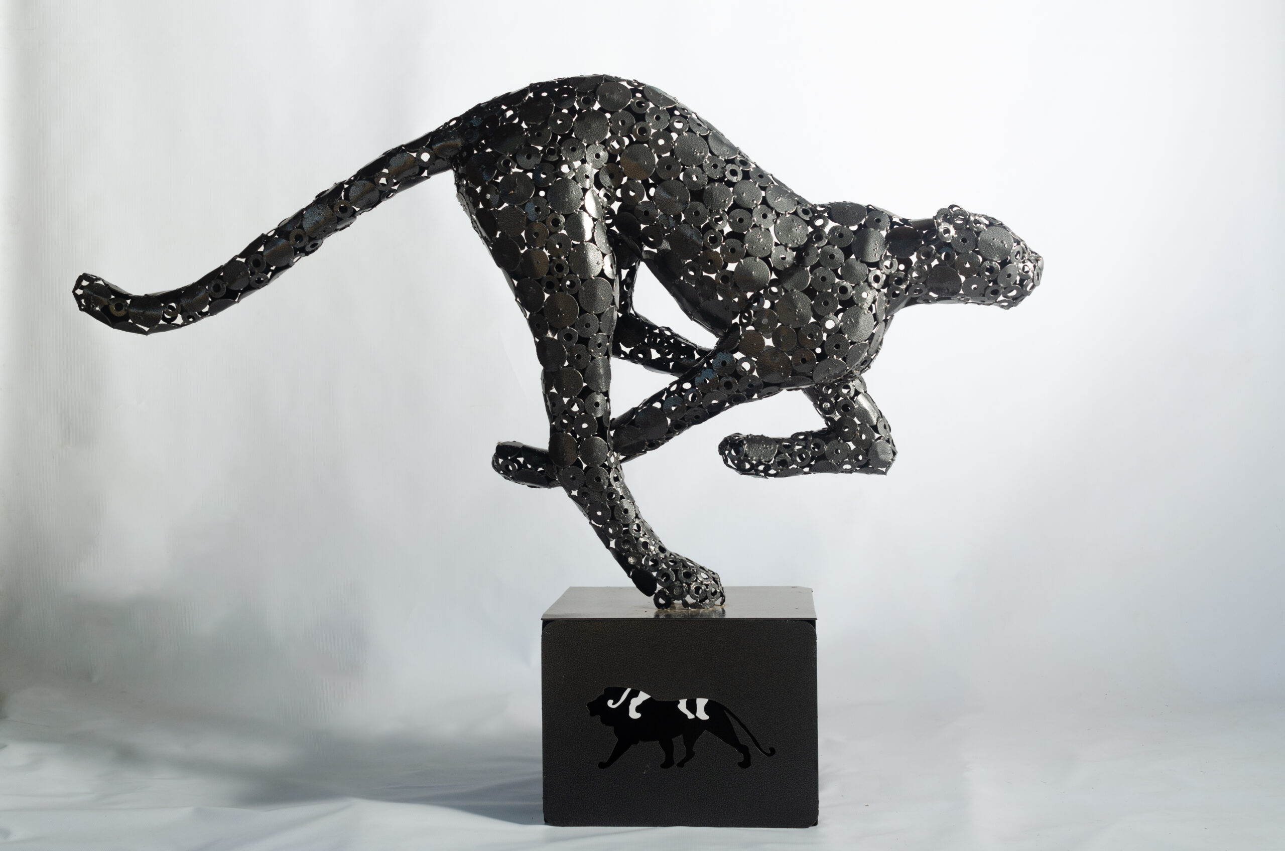 1734457491870-scaled-1.jpg Cheetah - Image 1
