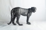 Leopard - Image 2